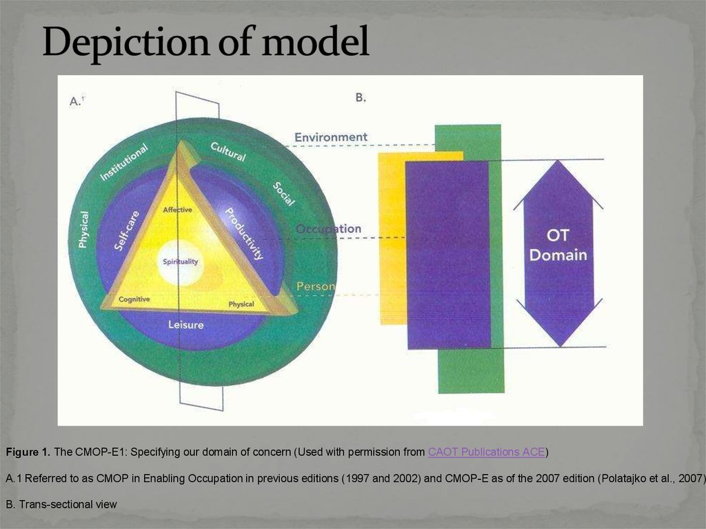 PDF] Using the Canadian Model of Occupational Performance in