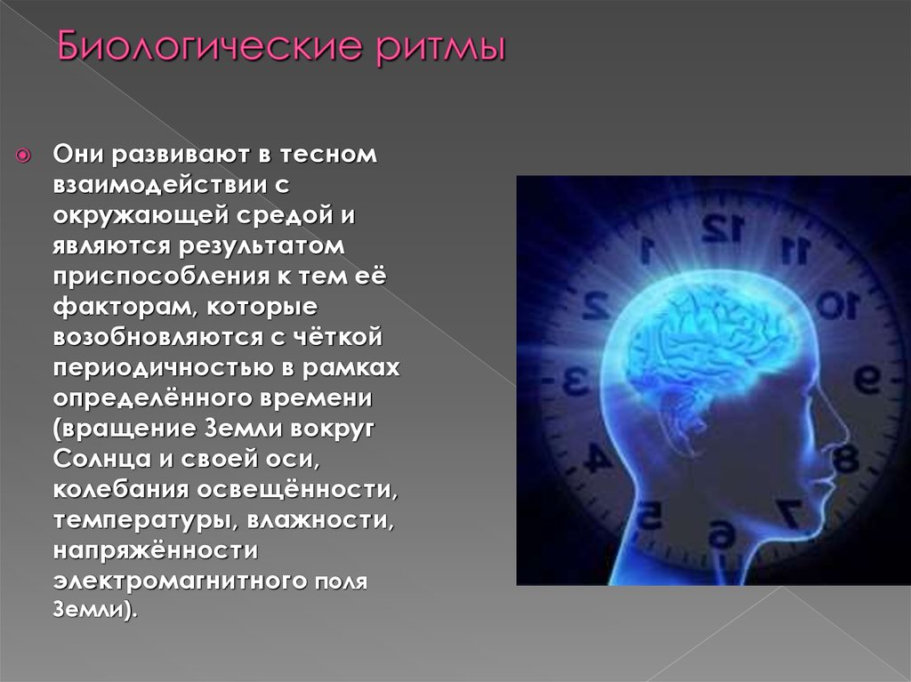 Биологические ритмы сон и его значение. Биологические ритмы. Биологические часы человека. Биоритмы человека презентация. Биологические ритмы мозга.