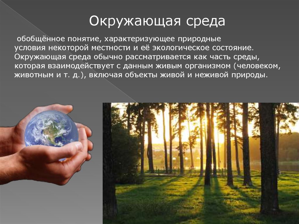 Состояние окружающей среды. Экологическое состояние окружающей среды. Природные факторы современной окруж среды. Состояние окружающей среды характеризуют