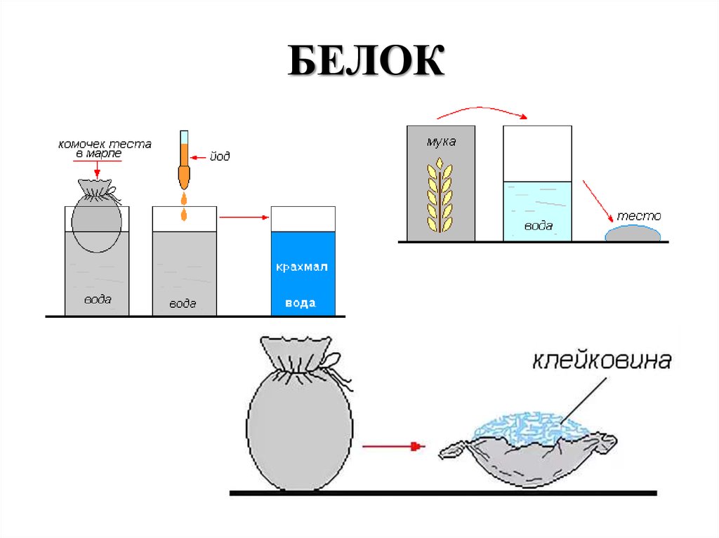 Химия белков тесты