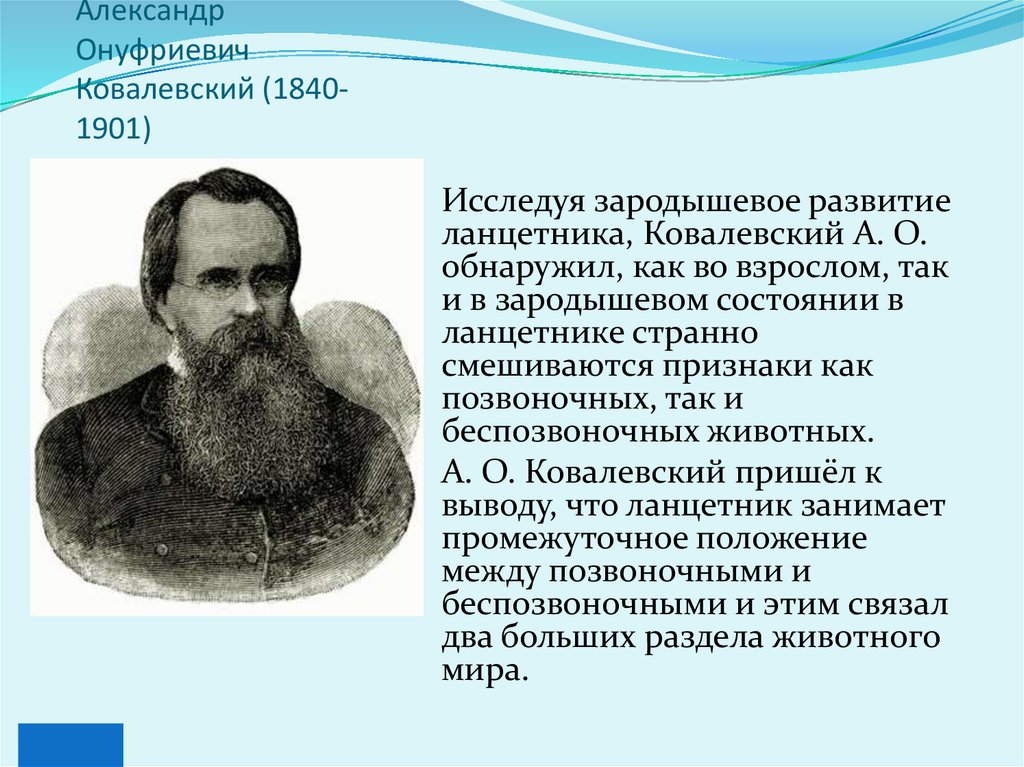 Ковалевский александр онуфриевич презентация