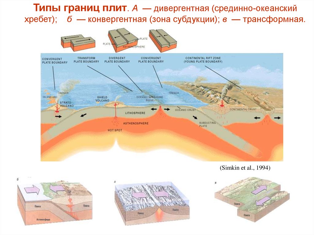 Дивергентные 3