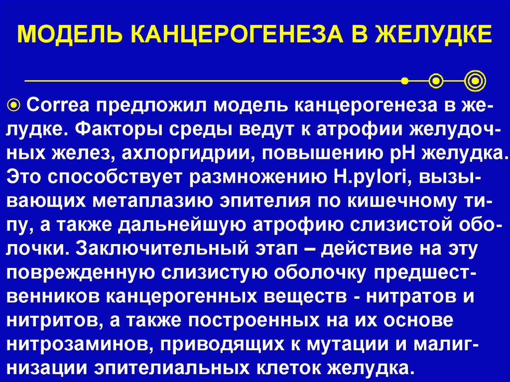 Модель канцерогенеза в желудке