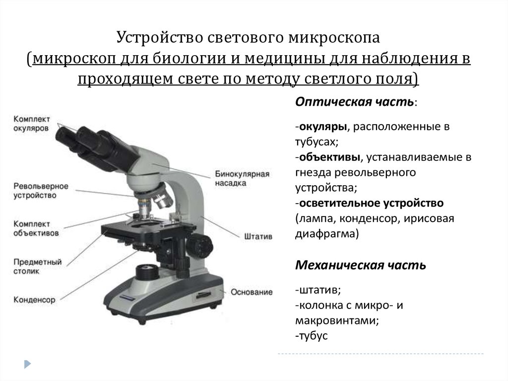 Применение микроскопа SZX16