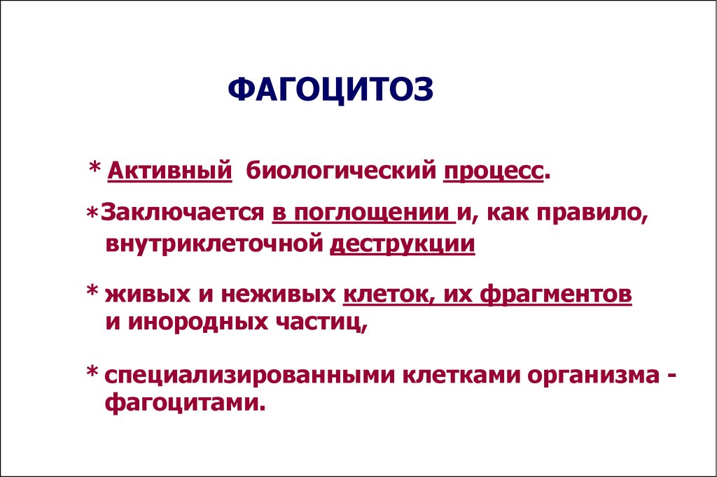 Стадии воспаления патология