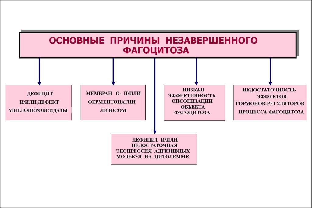 Виды воспаления