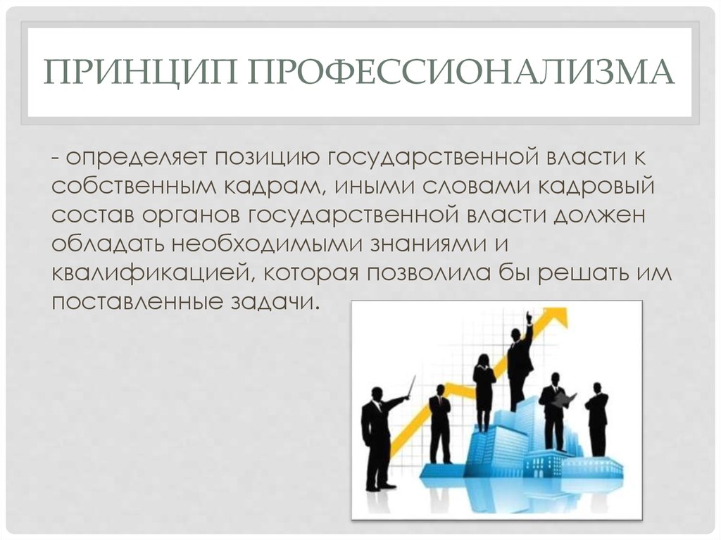 Принципы государственной власти. Принцип профессионализма. Професелизма принцип это. Принцип профессионализма и компетентности. Теории профессионализма.