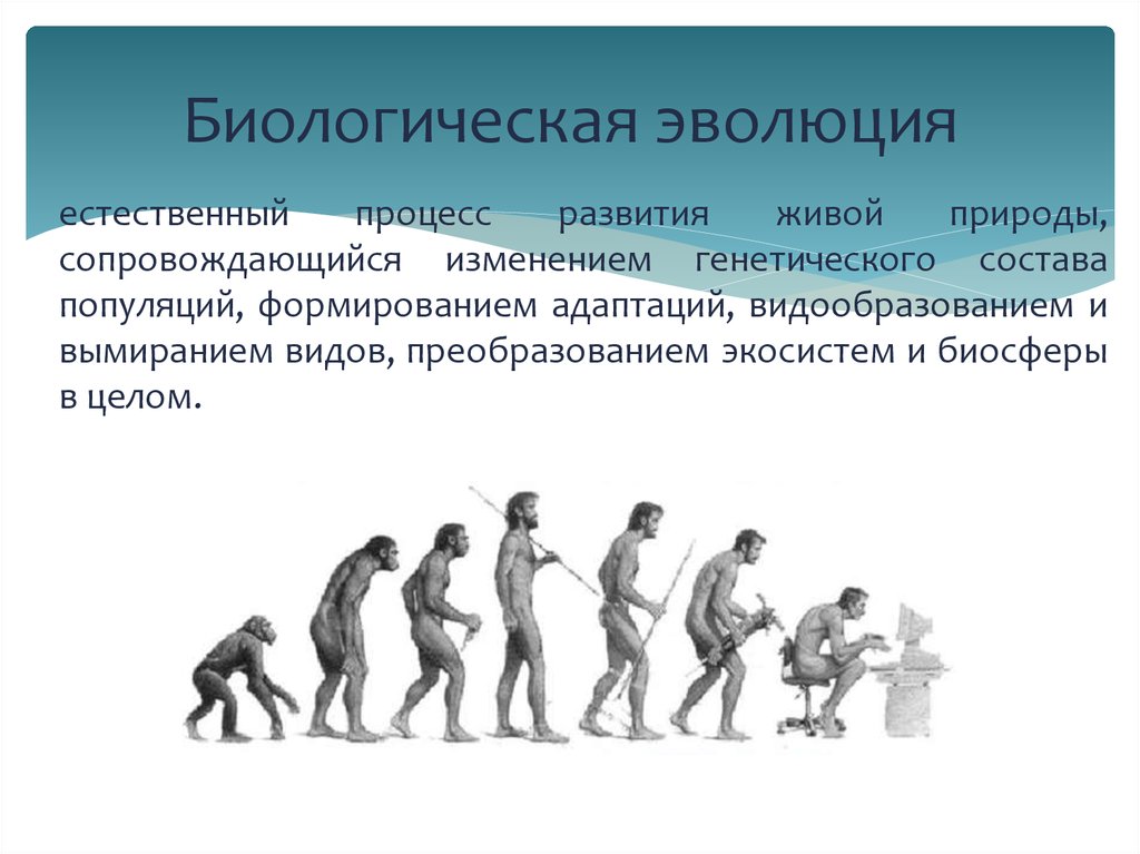 Группы изучения эволюции. Понятие биологической эволюции. Биологическая Эволюция естественный процесс развития живой природы. Эволюция это в биологии. Эмолю.