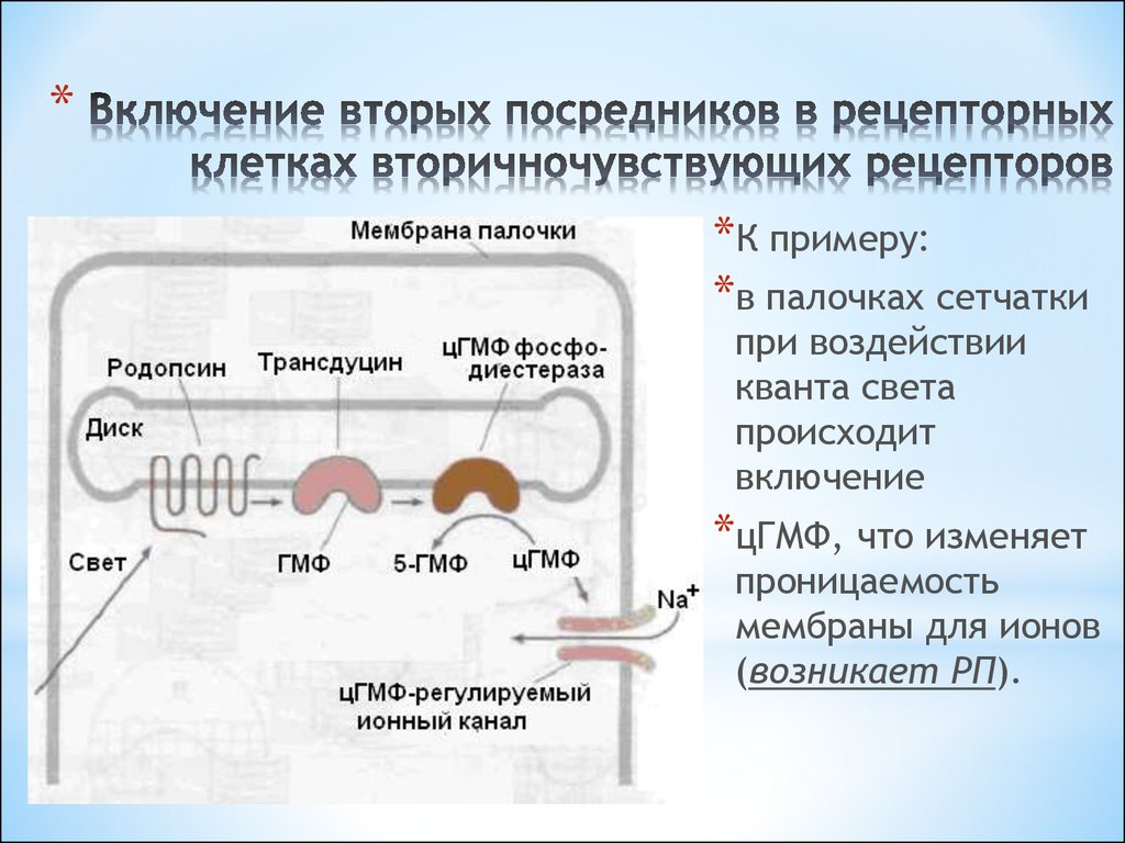 Включая второй