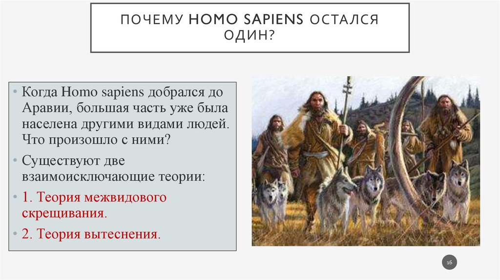 Почему Homo sapiens остался один?