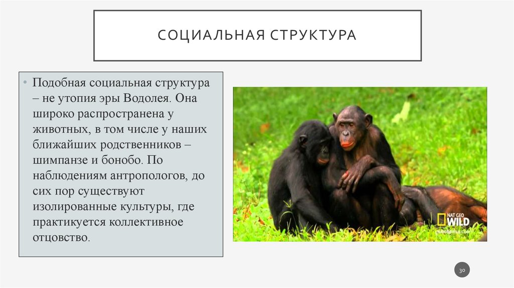 Социальная структура