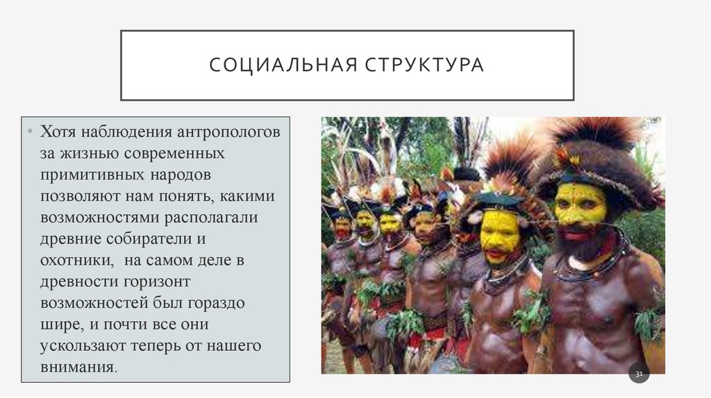 Социальная структура