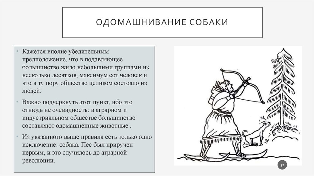 Одомашнивание собаки