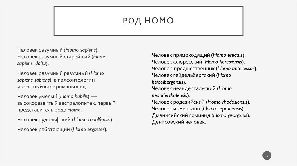 Род Homo