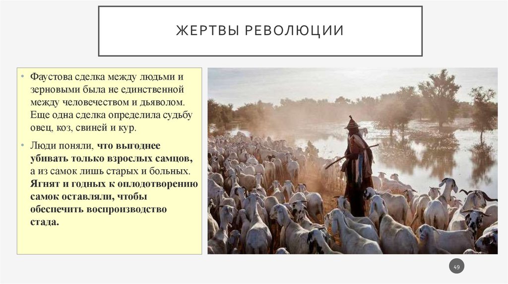 Книга духовные истоки русской революции. Жертва революции анализ. Презентация:2. Жертва революции краткое содержание. Жертва революции краткое содержание.