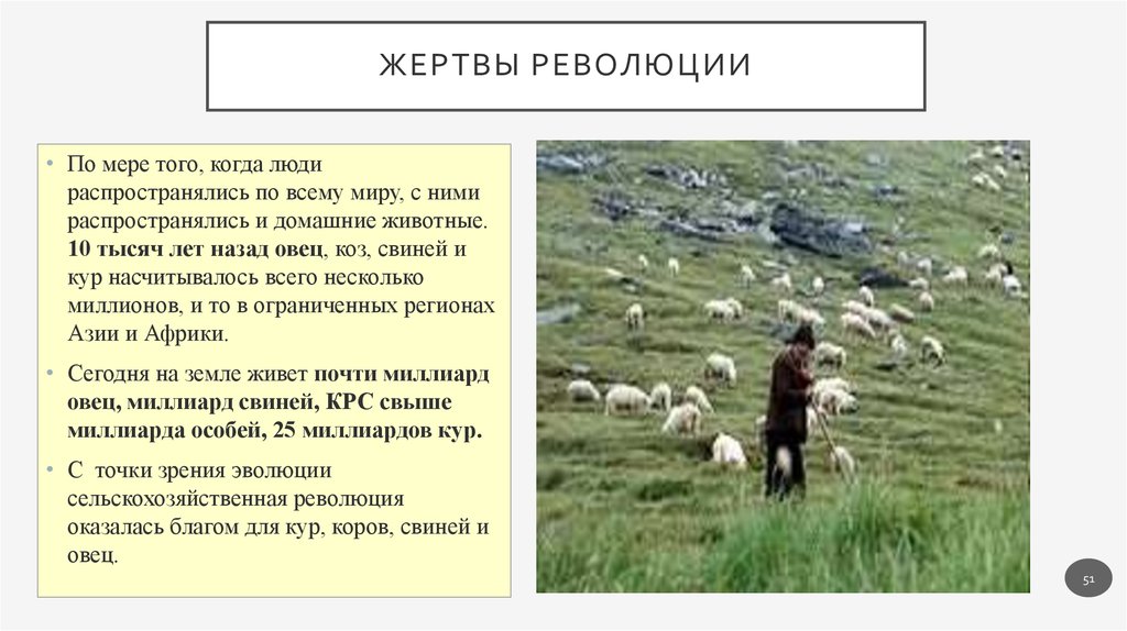 Жертвы революции