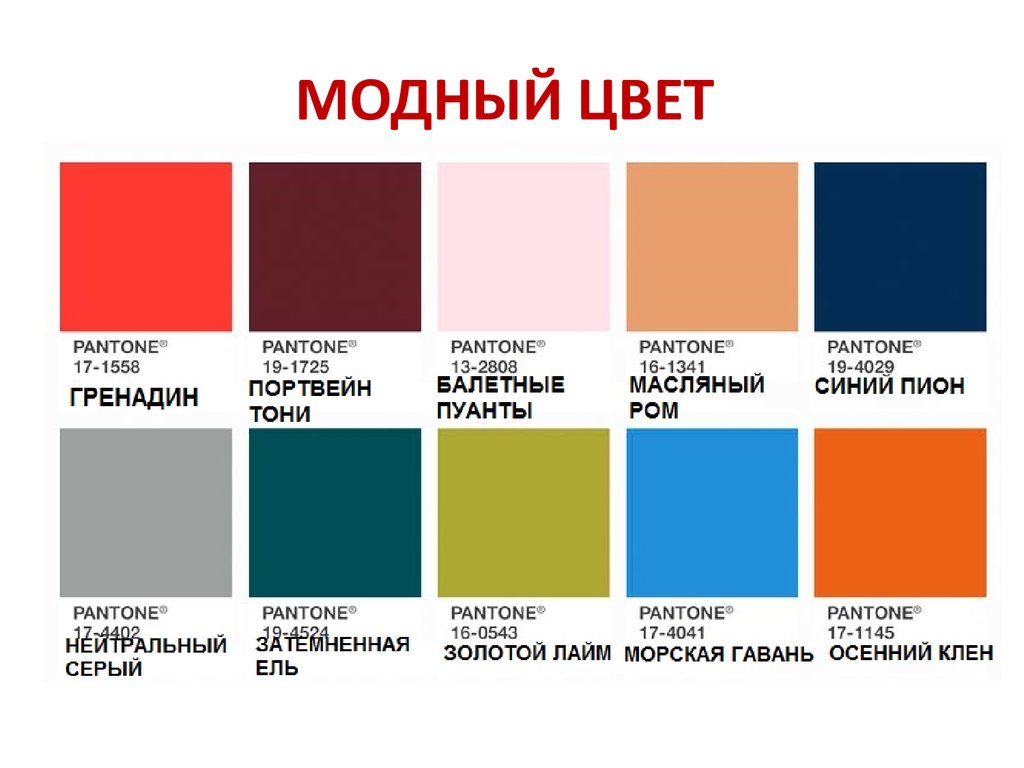 МОДНЫЙ ЦВЕТ