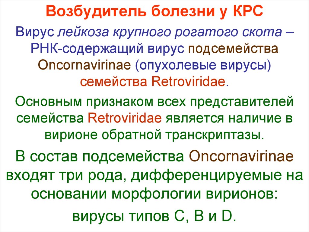 Возбудитель лейкоза. Вирус лейкоза крупного рогатого скота. Возбудитель лейкоза крупного рогатого скота.