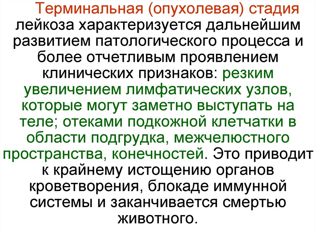 Этапы лейкоза. Терминальная фаза лейкоза. Лейкемия в терминальной стадии. Терминальная стадия заболевания это. Терминальная стадия лейкоза фото.