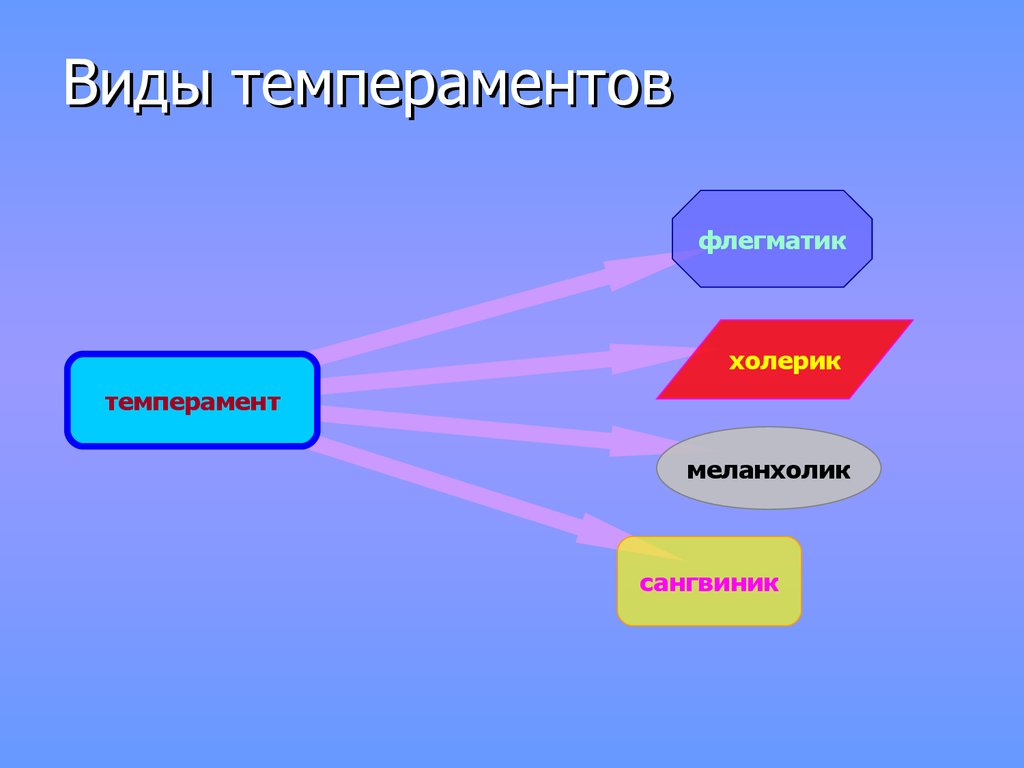 Презентация на тему сангвиник