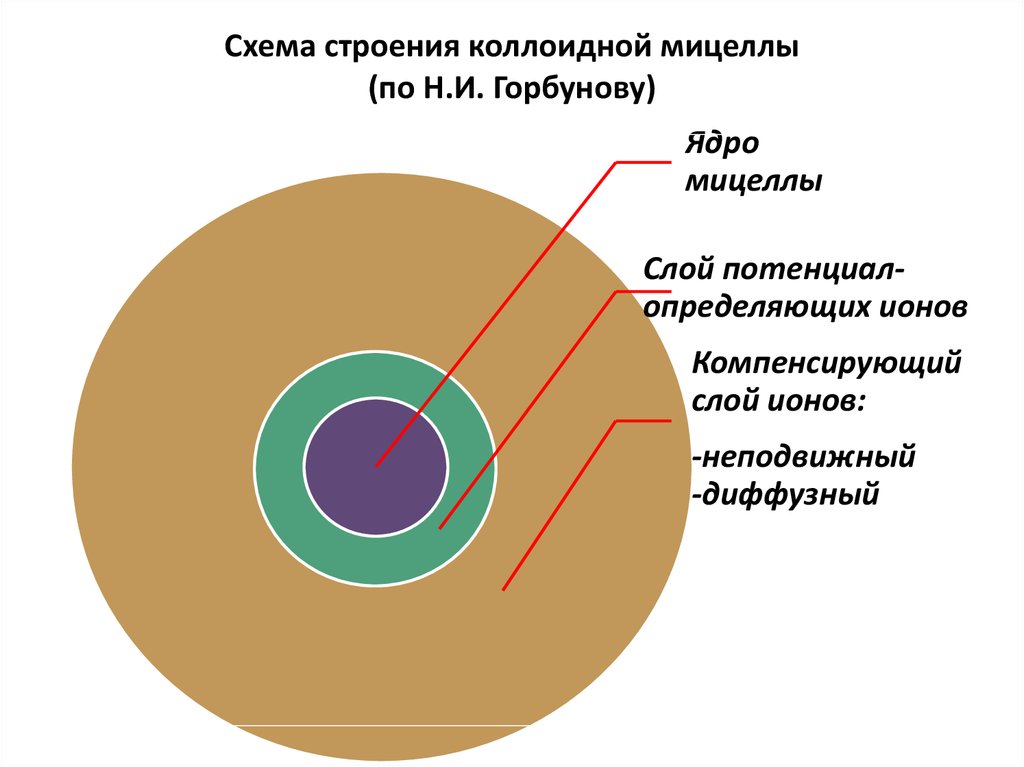 Схема строения коллоидной частицы