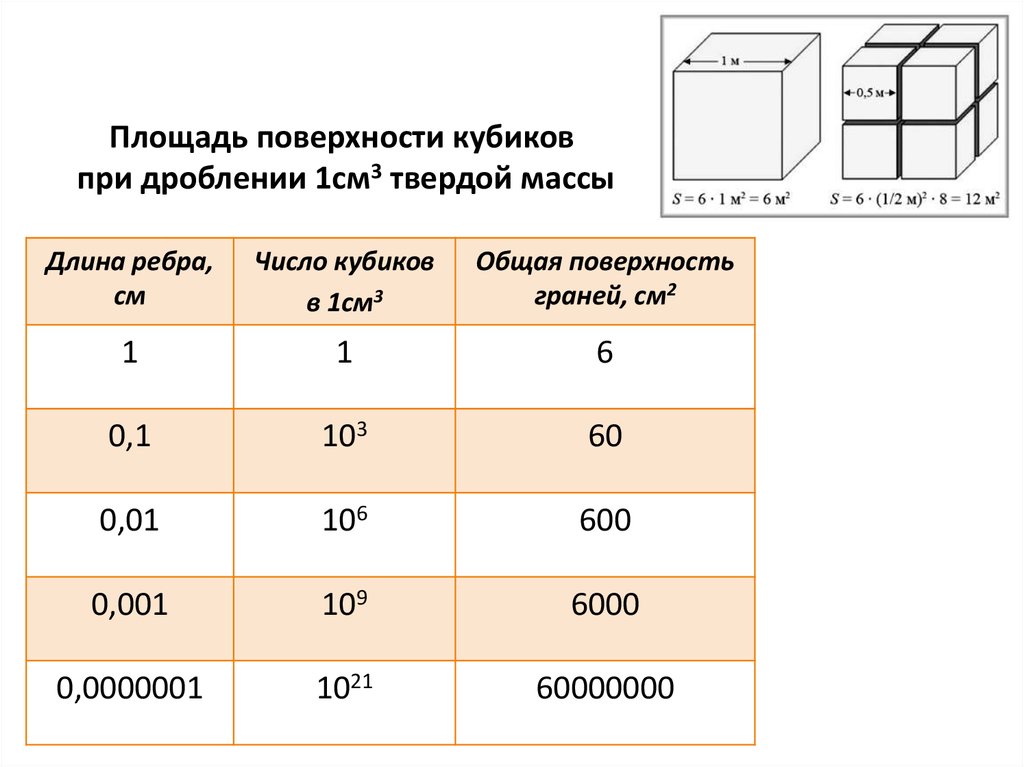 Общая поверхность