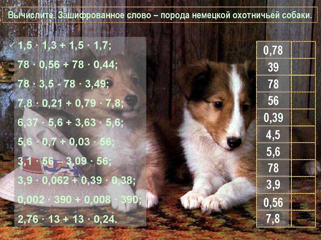 Порода текст. Порода слово. Зашифровать слово собака. Вычислите зашифрованное слово порода немецкой охотничьей собаки. Вычислите зашифрованное слово порода собак выведенная в Канаде.