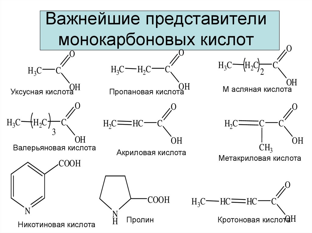 Важнейшие представители монокарбоновых кислот