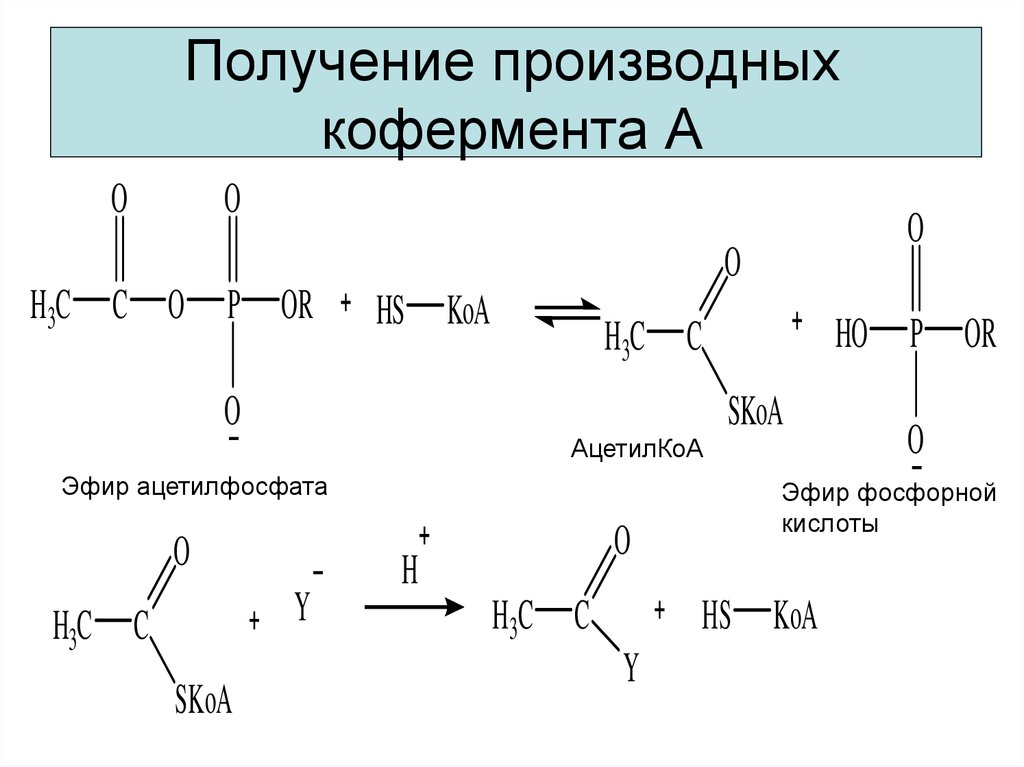 Щелочной гидролиз карбоновых кислот