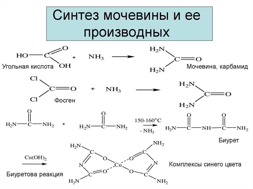 Синтез кислот. Реакция получения мочевины. Синтез карбамида реакции. Синтез мочевины из аммиака. Уравнение синтеза мочевины.