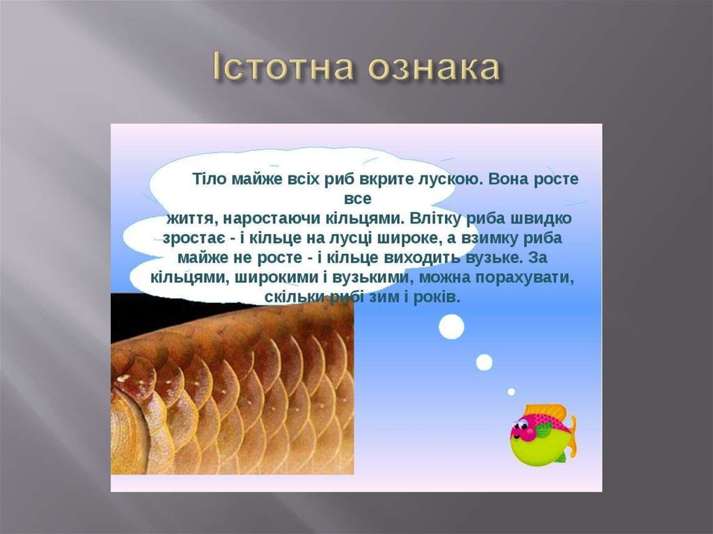 Істотна ознака