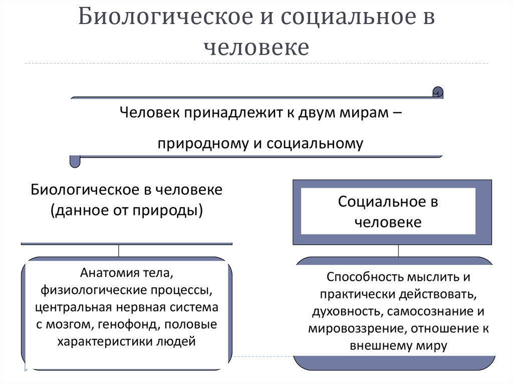 Биологической социальная сущность. Биологические особенности человека философия. Природа и сущность человека биологическое и социальное в человеке. Проблема биологического и социального в человеке философия. Соотношение биологического и социального в человеке.