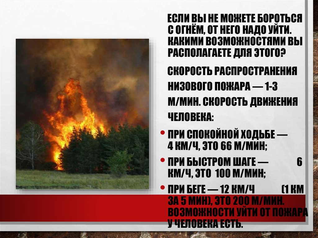 Лесные и торфяные пожары защита. Защита населения от лесных пожаров. Сообщение о низовом пожаре. Пожар защита живой природы.