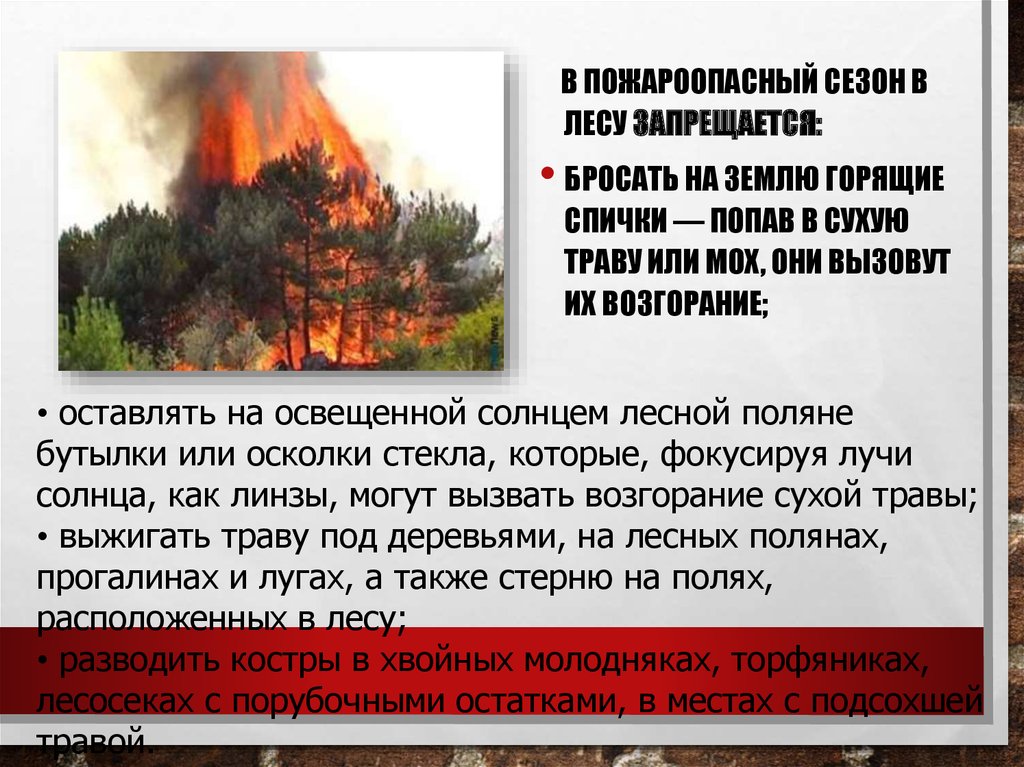 Последствия лесных и торфяных пожаров. Лесные и торфяные пожары. Защита населения от лесных и торфяных пожаров. Лесные и торфяные пожары сообщение. Лесные и торфяные пожары что делать.