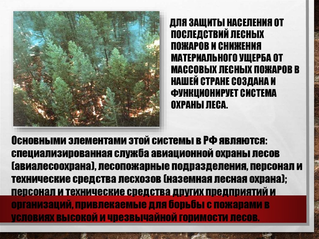 Последствия лесных и торфяных пожаров. Последствия лесных пожаров. Профилактика лесных пожаров защита населения.