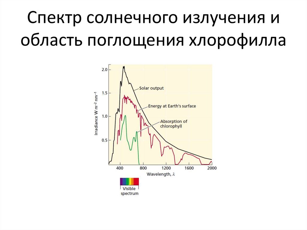 Основным источником видимого излучения солнца. Солнечный спектр излучения график. График спектра солнечного излучения. Спектр солнечного излучения для фотосинтеза. Диапазоны солнечного излучения.