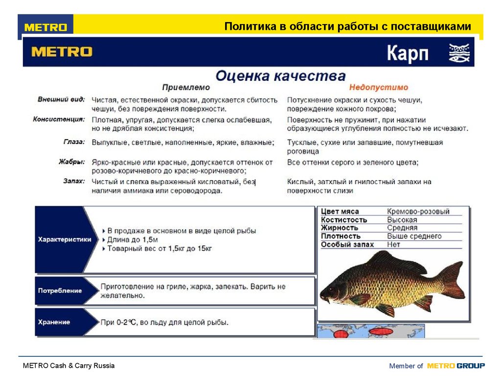 Оценка качества рыбы. Требования к поставщикам. Необязательные характеристики. Как оценить качество рыбы параметры. Отрицательные характеристики у рыб.