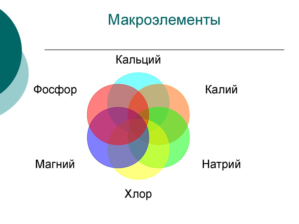 Макроэлементы это. Макроэлементы. Сера, железо, магний, калий, кальций, натрий, фосфор, хлор. Макроэлементы кальций калий. Макроэлементы фосфор калий кальций.