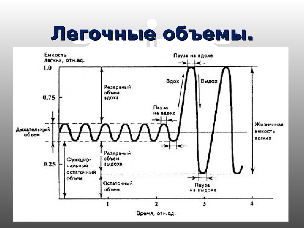 Дыхательные объемы картинка