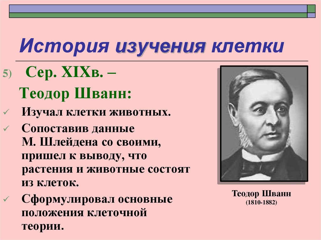 Теория шванна. Теодор Шванн вклад в цитологию. Теодор Шванн открытия и исследования клетки. Теодор Шванн научные достижения. Шванн вклад в цитологию.