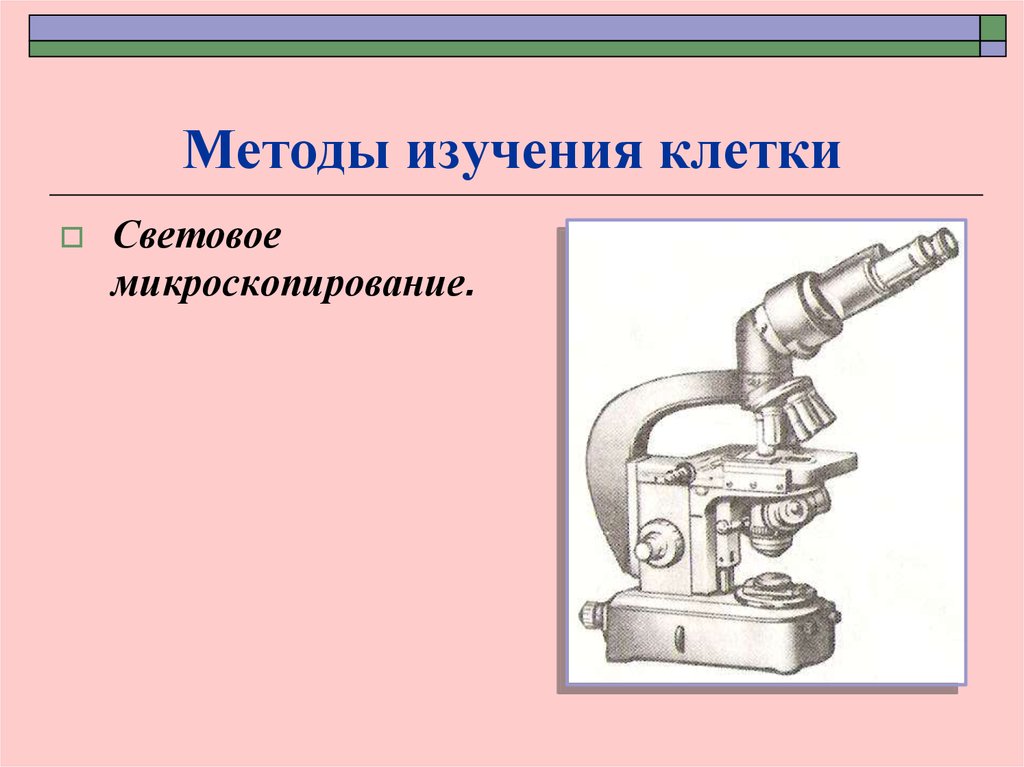 Изучение клетки световое микроскопирование. Методы изучения клетки 11. Методы изучения клетки написать. Конспект 5 класс методы изучения клетки.