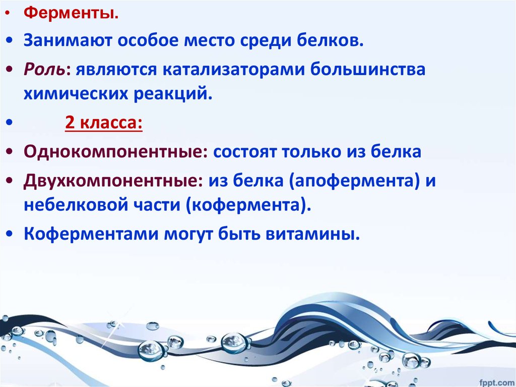 Займет особое место в. Характеристика основных биологических групп. Какие источники занимают особое место?. Функции апофермента в катализе.