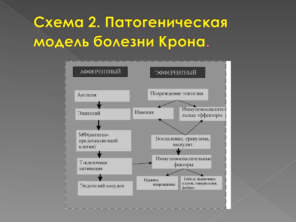 Схема развития заболевания