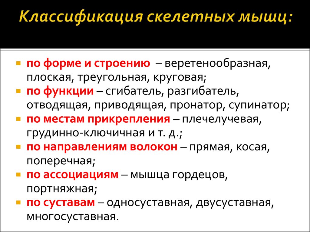 Формирование классификации