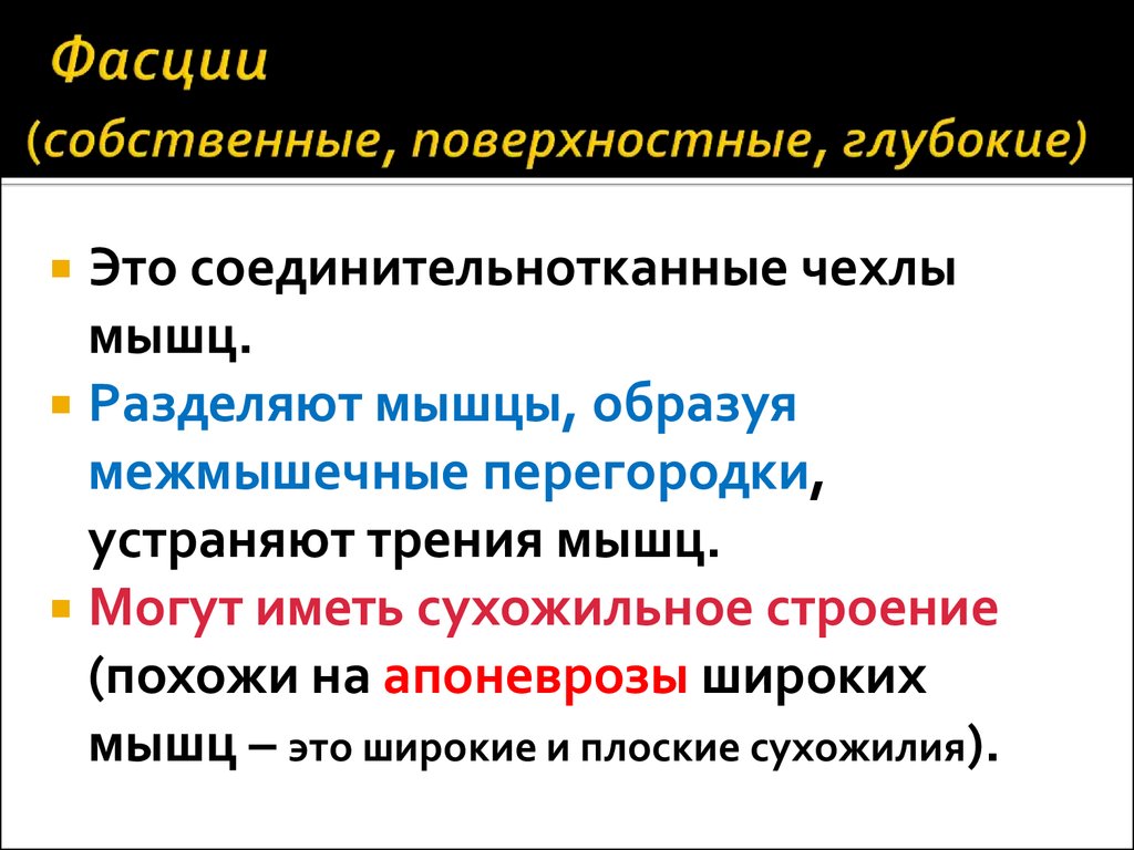 Глубокое поверхностное. Разделение мышц на поверхностные и глубокие. Трение мышц.