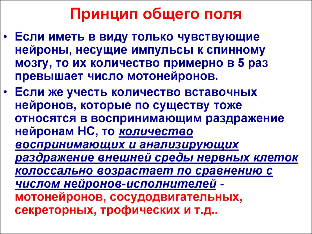 Принцип общего конечного пути. Принцип общего поля. Принцип общего поля физиология. Принцип общего информационного поля. Открытое поле физиология.