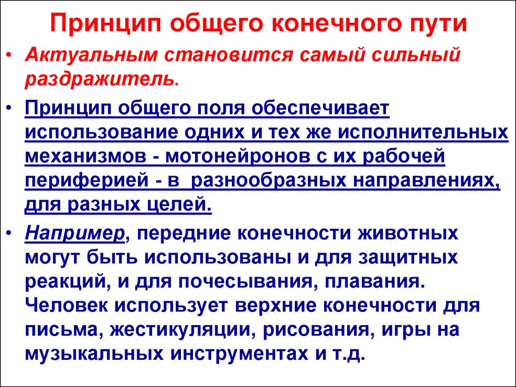 В общем в конечном. Принцип общего конечного пути. Принцип общего конечного пути физиология. Координация рефлекторной деятельности. Принцип проторенного пути.