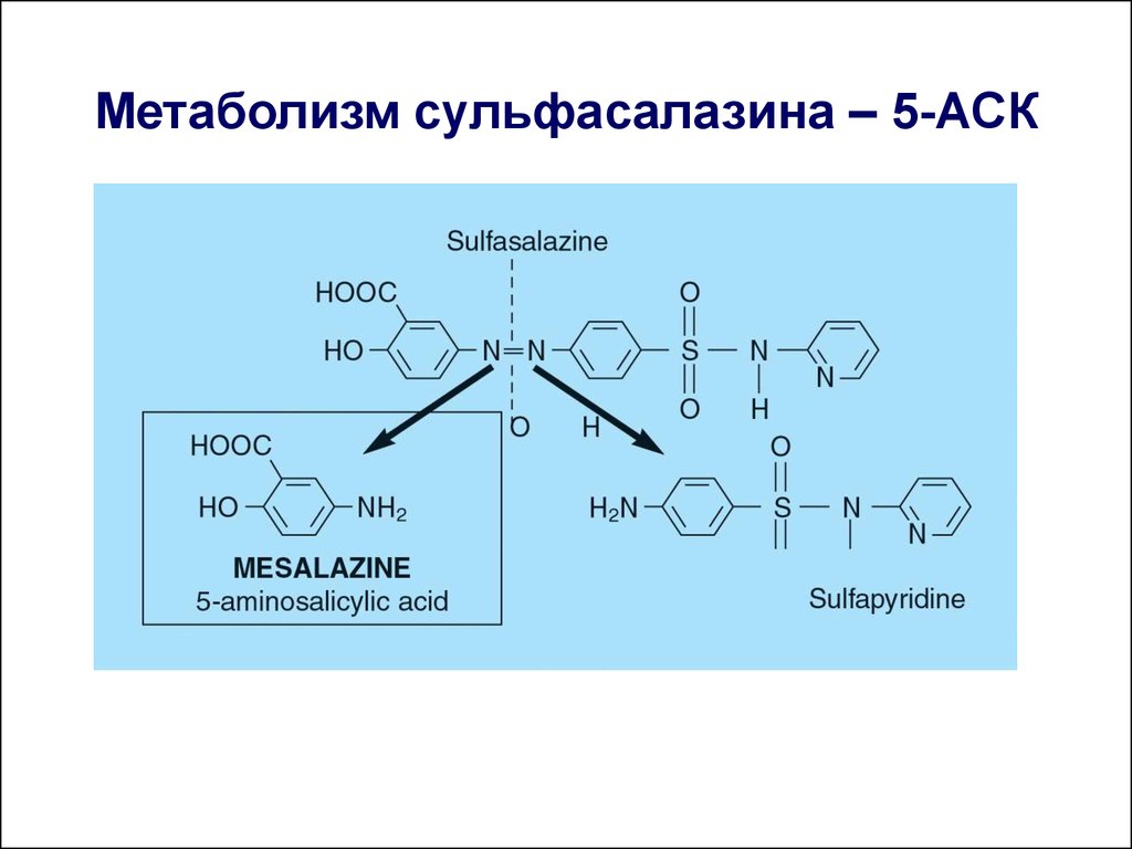 Сульфасалазин схема приема