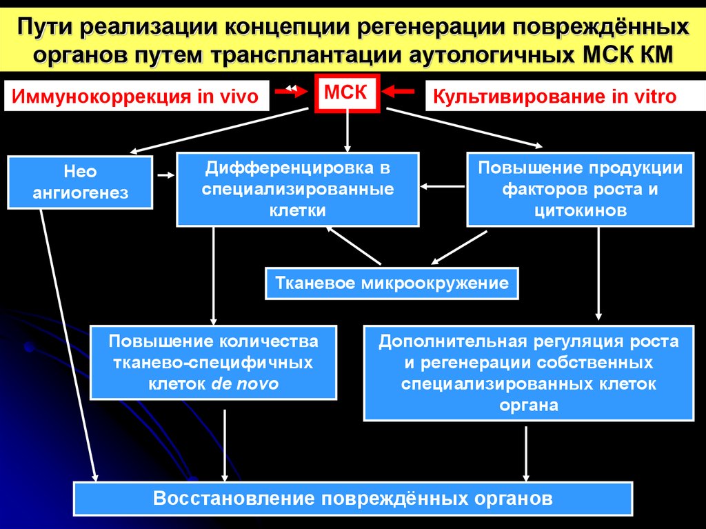 Пути реализации. Механизмы регенерации. Пути реализации концепции. Клеточные механизмы регенерации. Механизм регенерации в патологии.