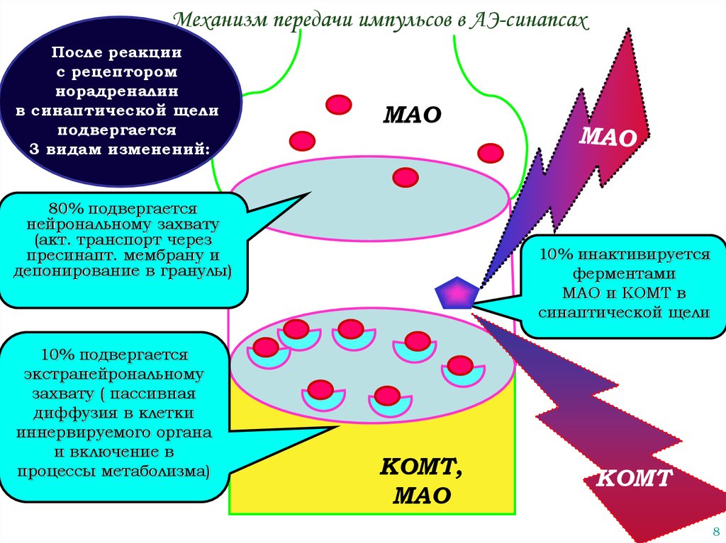 Передача импульса 6. Механизм синаптической передачи. Механизм симпатичечкой передачи Импульс. Передача импульса в синапсе. Механизм передачи импульса через синапс.